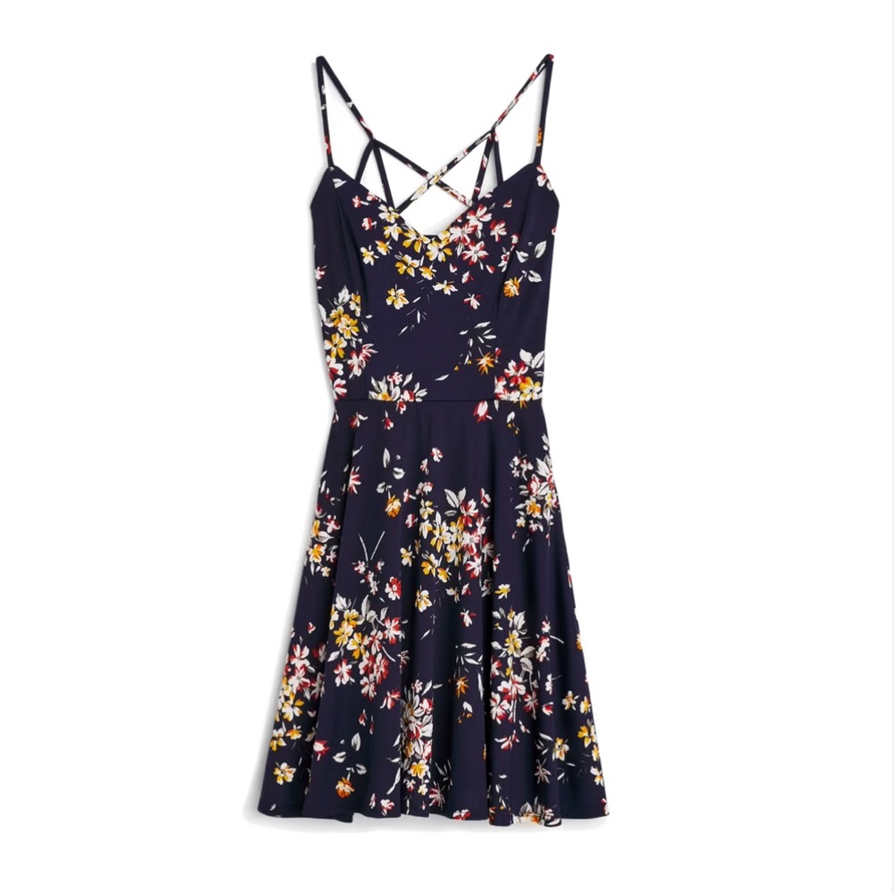 Reign Back Detail Brushed Knit Dress